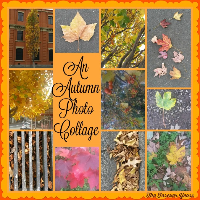 Autumn Collage FY